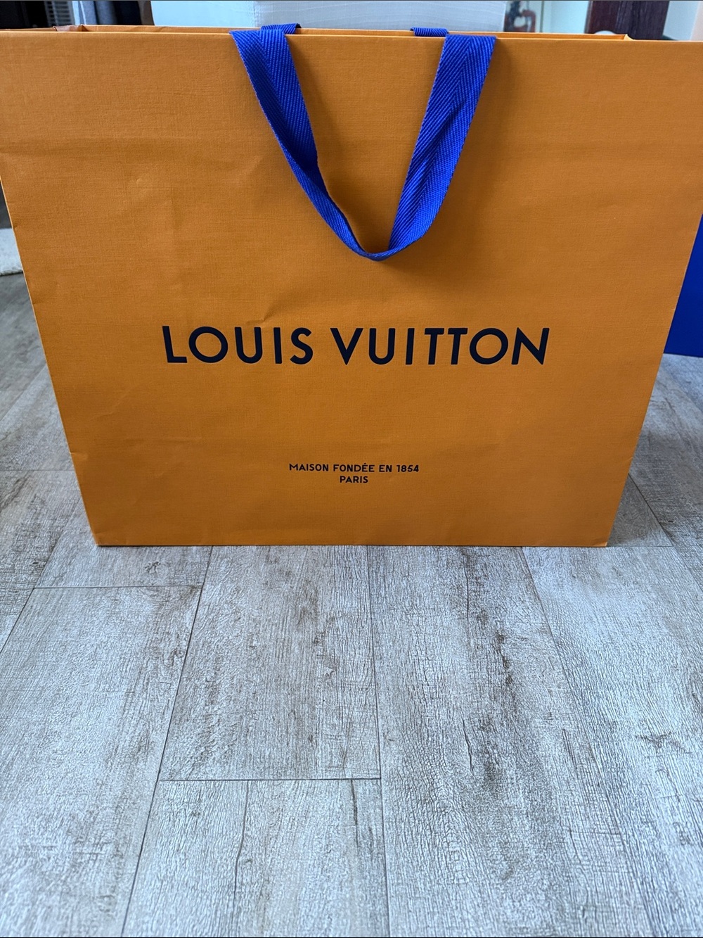 Louis Vuitton Orange Bag with Blue Ribbon Handles